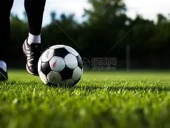 张柏芝力破,传闻,射击训练后,AG真人平台,AG真人百家乐,AG真人百家乐官网,AG真人百家乐登录入口,AG真人官方网站